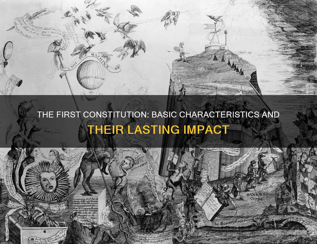 what were basic characteristics of first constitution