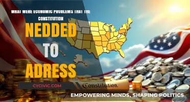 Economic Issues the Constitution Addressed