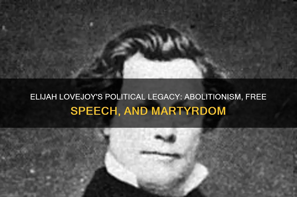 what were elijah lovejoys political