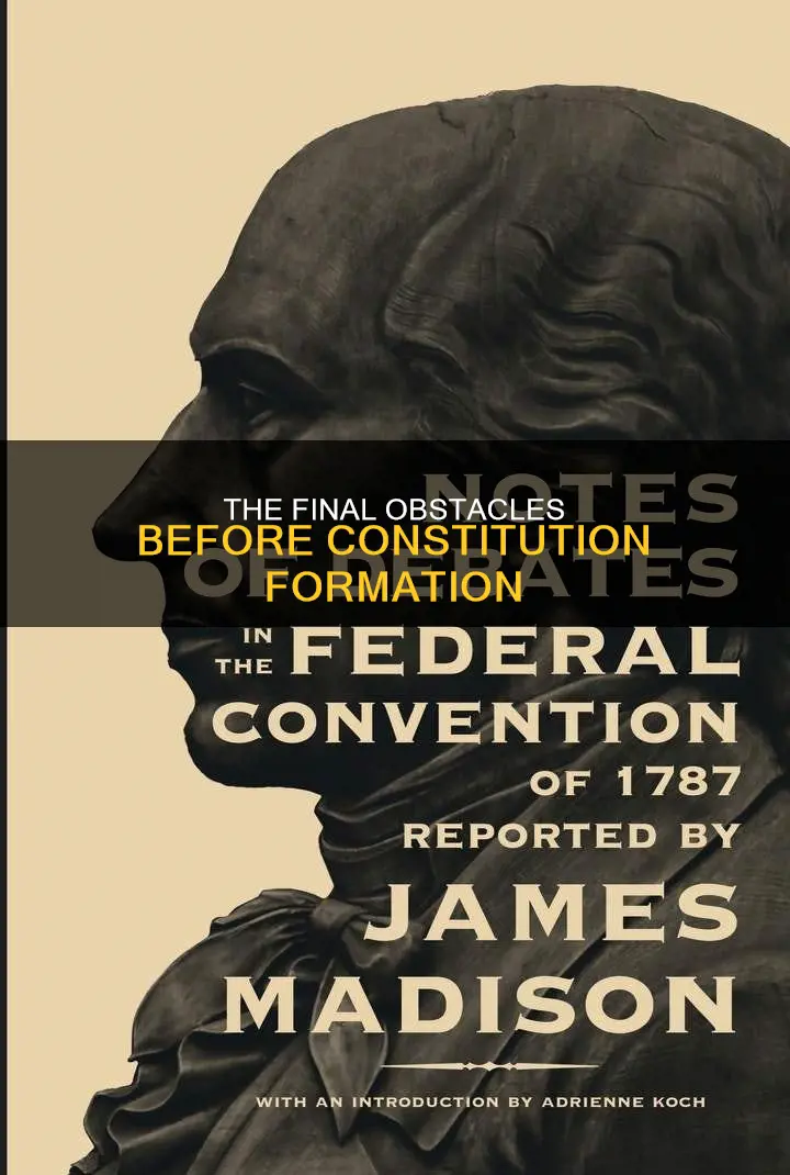 what were final problems before the constitution was made