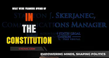 Founders' Constitution Fears: What Were Their Concerns?