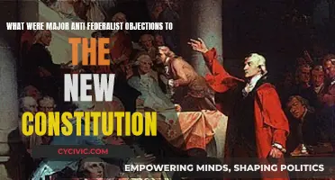 Anti-Federalist Objections: The Constitution's Early Critics