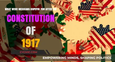 Hope and Change: Mexicans' Post-1917 Constitution Aspirations