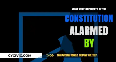 Concerns Over Constitution: Opponents Alarmed by Centralized Power