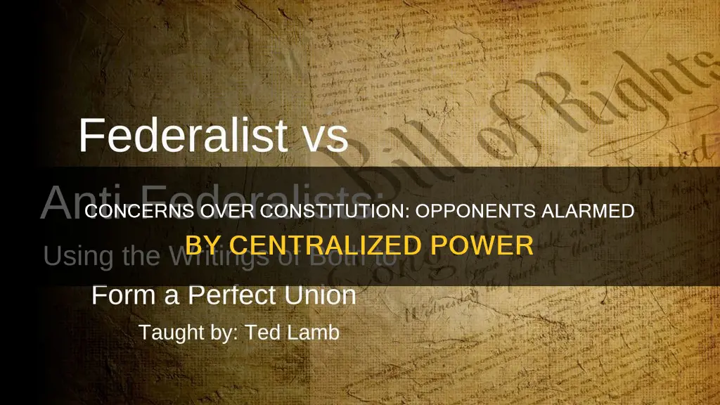what were opponents of the constitution alarmed by