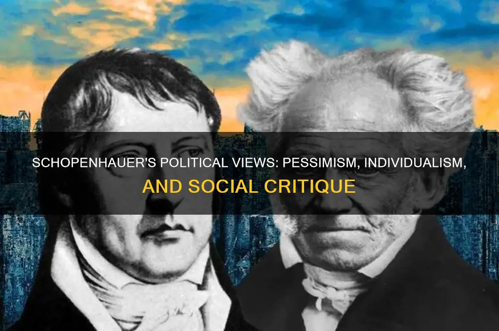 what were schopenhauers politics