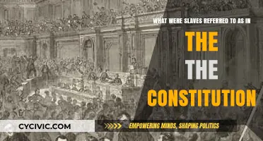 The Constitution's Alternative Label for Slaves
