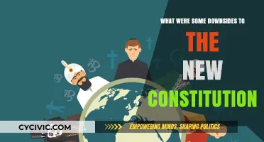 The Constitution: What Were Its Flaws?