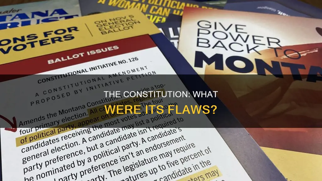 what were some downsides to the new constitution