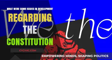 Developing the Constitution: What Issues Arose?