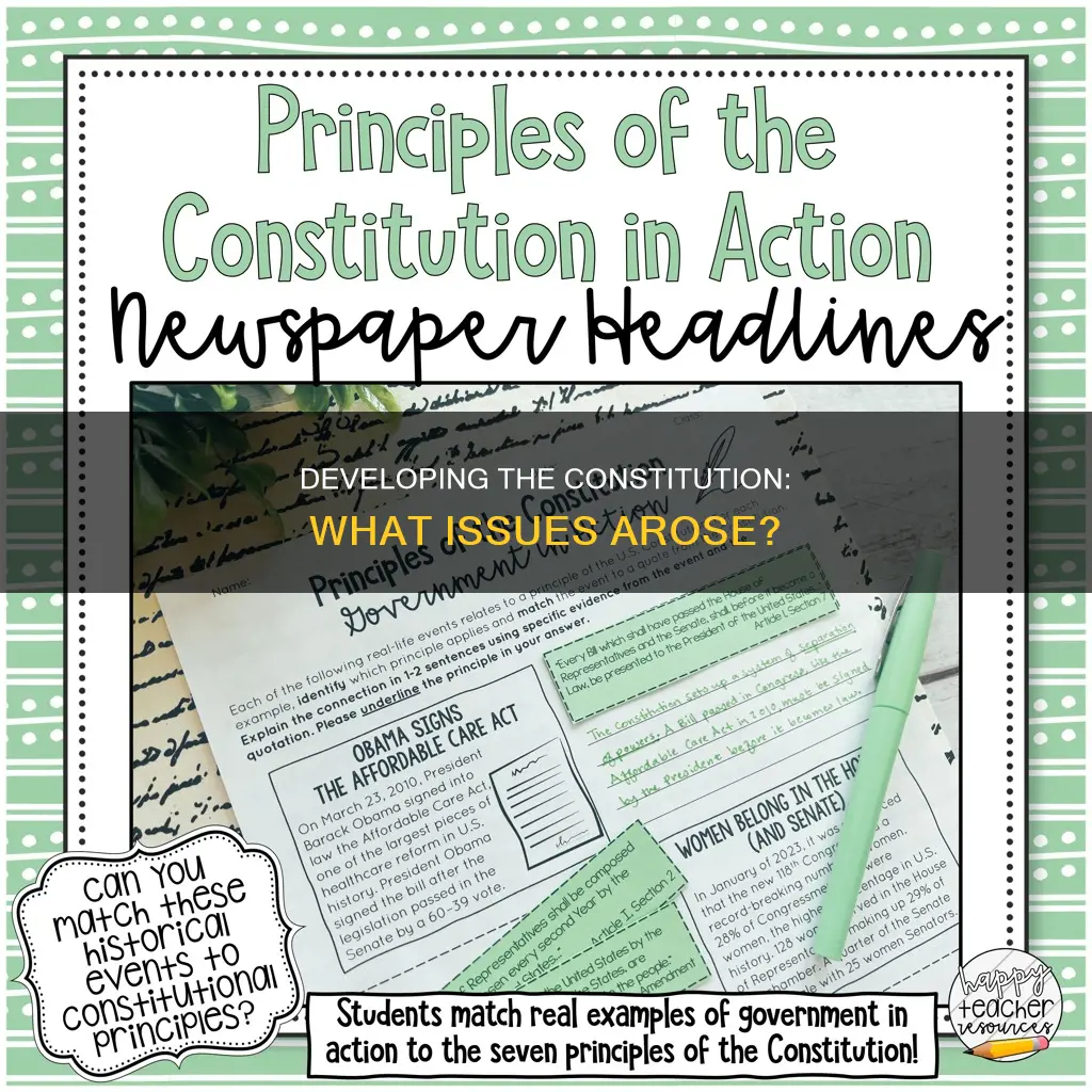 what were some issues in development regarding the constitution