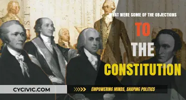 Concerns Over the Constitution: Objections and Their Legacy