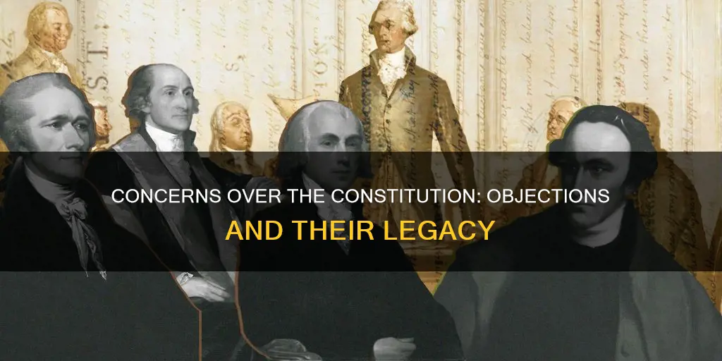 what were some of the objections to the constitution