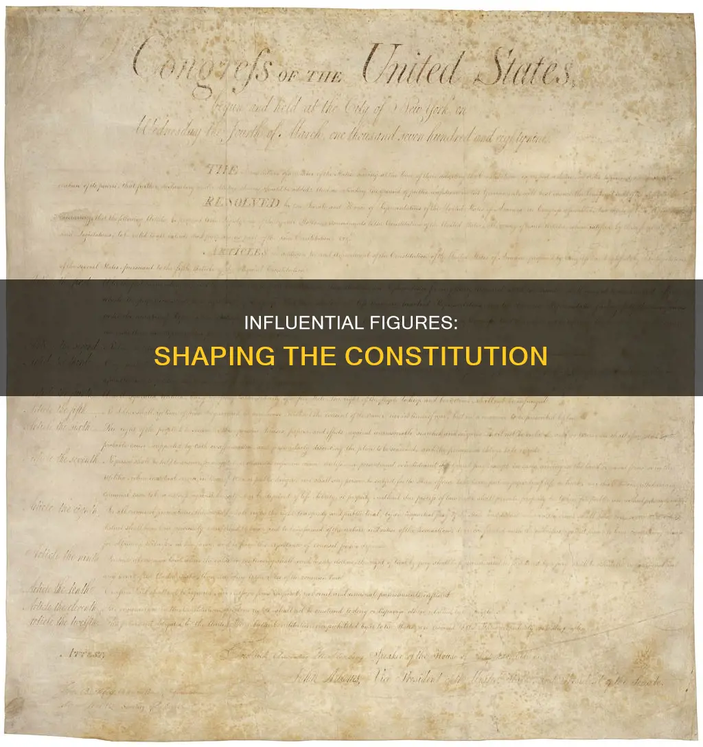 what were some of their contributions to the constitution