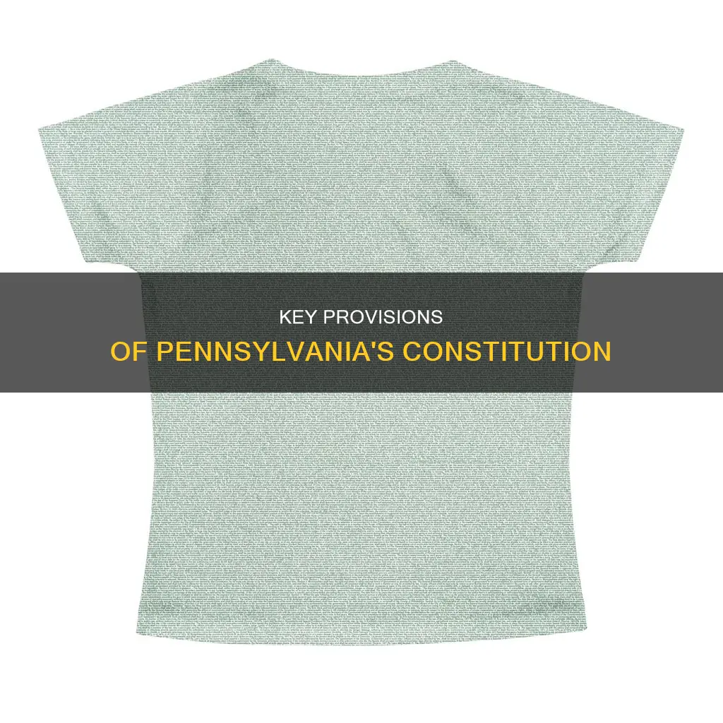 what were some provisions of the pennsylvania constitution