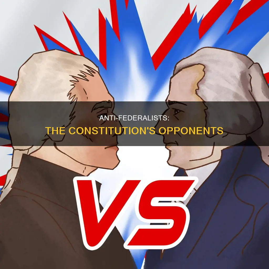 what were statesman who opposed the constitution were called