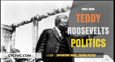 Teddy Roosevelt's Progressive Politics: A Legacy of Reform and Action