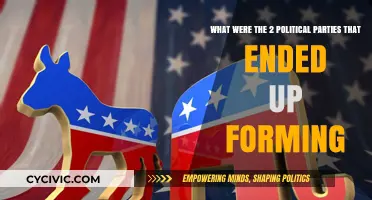 The Rise of Two Political Parties: A Historical Formation