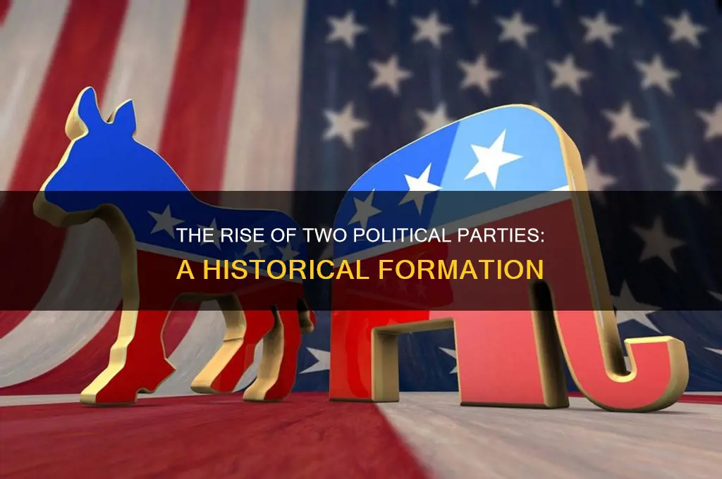 what were the 2 political parties that ended up forming