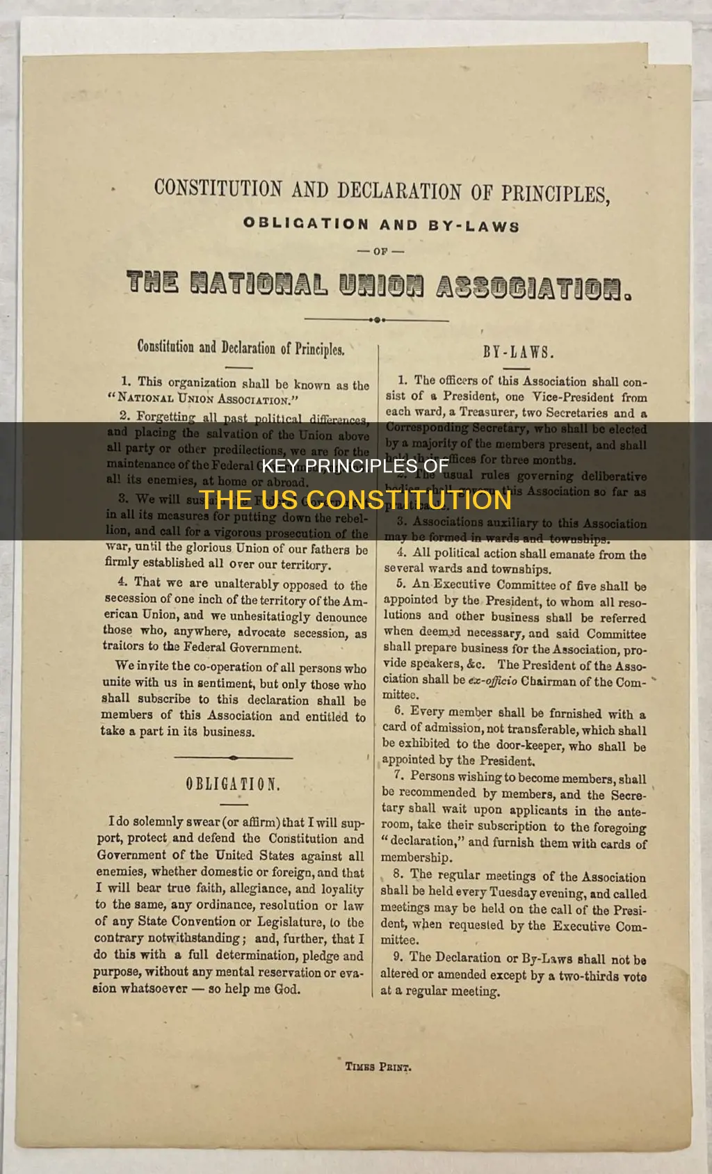 what were the 5 most important principles of the constitution