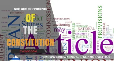 Foundational Principles of the US Constitution