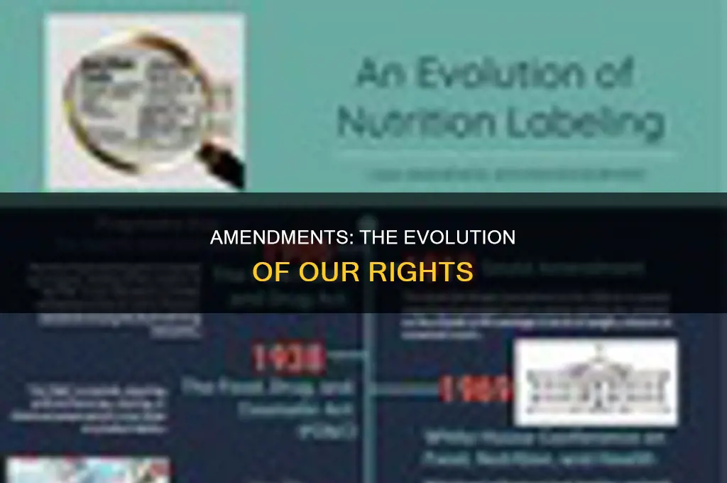 what were the amendments