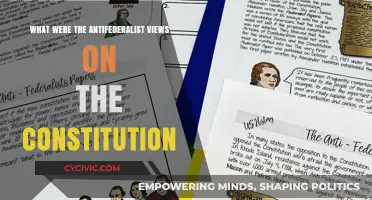 Anti-Federalist Constitution: A Different Perspective
