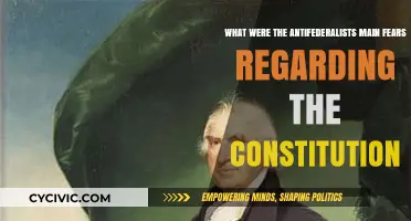 Federalists' Fears: The Constitution's Flaws and Failings