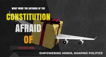 Founding Fathers' Fears: Democracy's Early Days