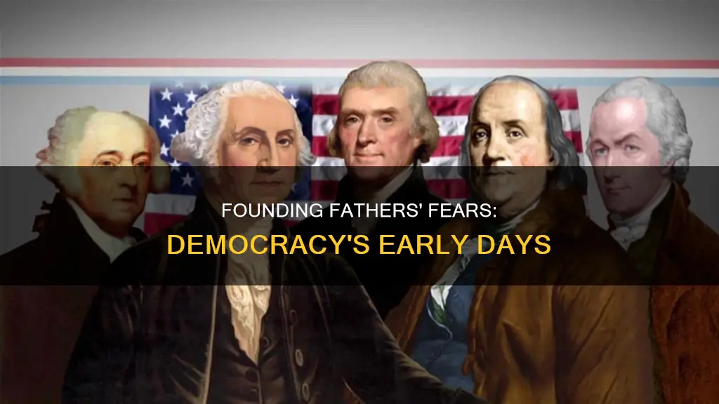 what were the authors of the constitution afraid of