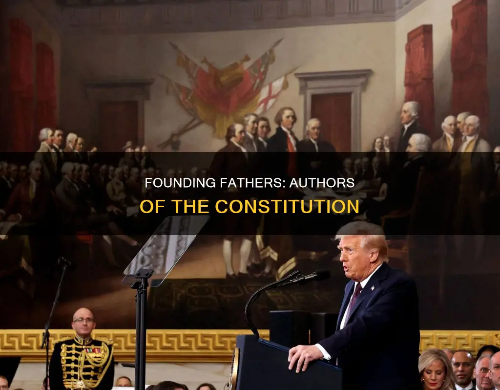 what were the authors of the constitution called