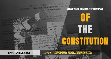 Core Principles of the Constitution Explained