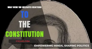 Reactions to the Constitution: Delegates' Thoughts