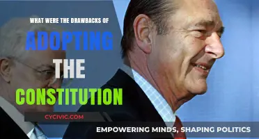 Constitution Drawbacks: Freedom and Federalism