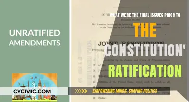 Final Hurdles Before Constitution Ratification