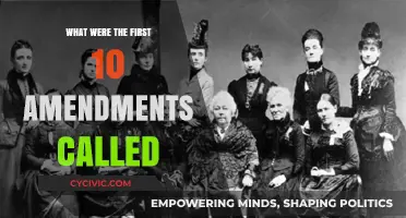 The First Amendments: A Founding Tenet of the US Constitution