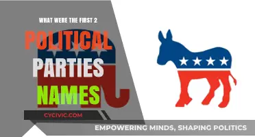 The Birth of American Politics: Exploring the First Two Political Parties
