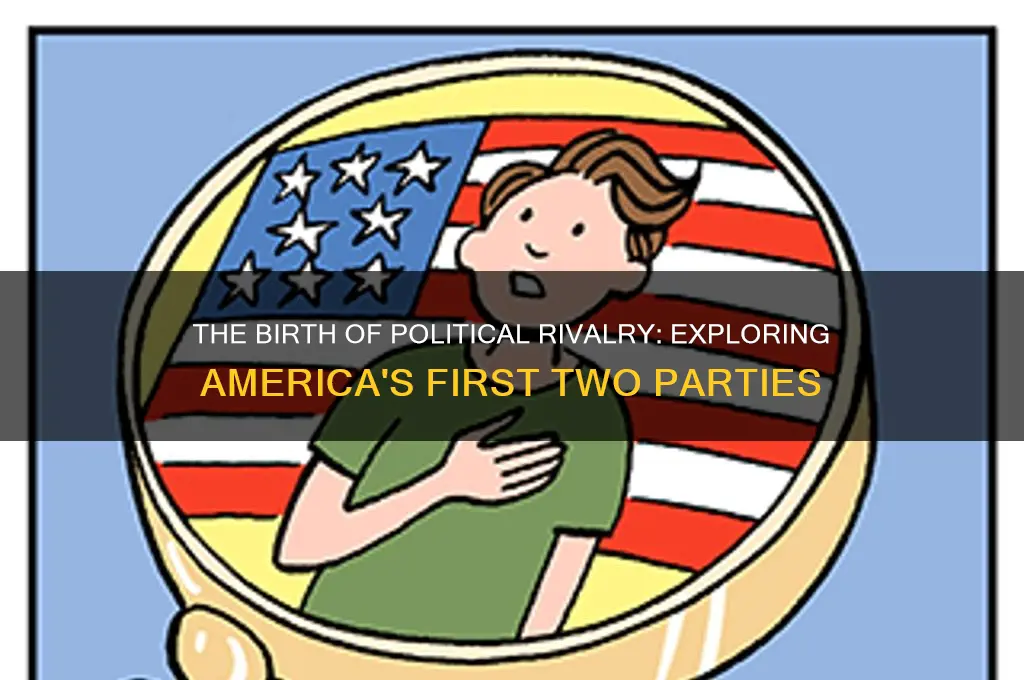 what were the first 2 political parties