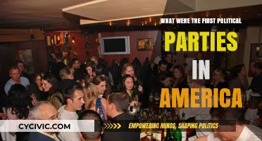 The Birth of American Politics: Exploring the First Political Parties