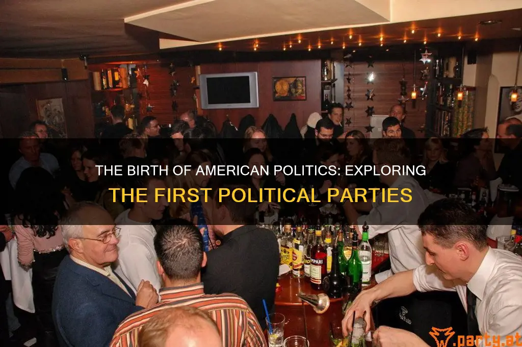 what were the first political parties in america