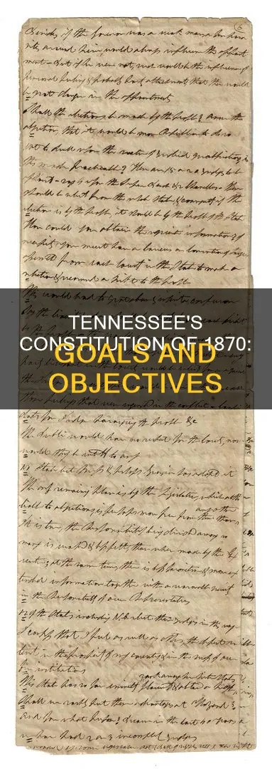 what were the goals of the tennessee constitution of 1870