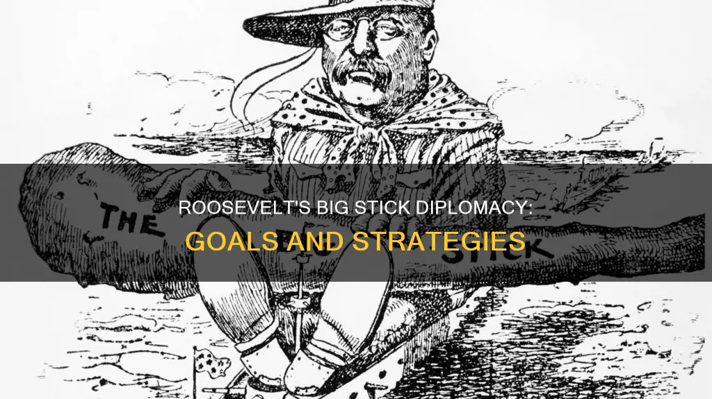 what were the goals of theodore roosevelt