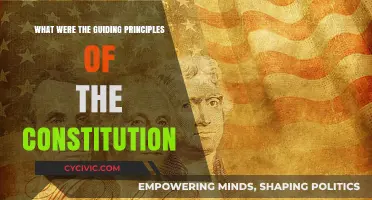 Constitution's Core Principles: Freedom, Equality, and Unity