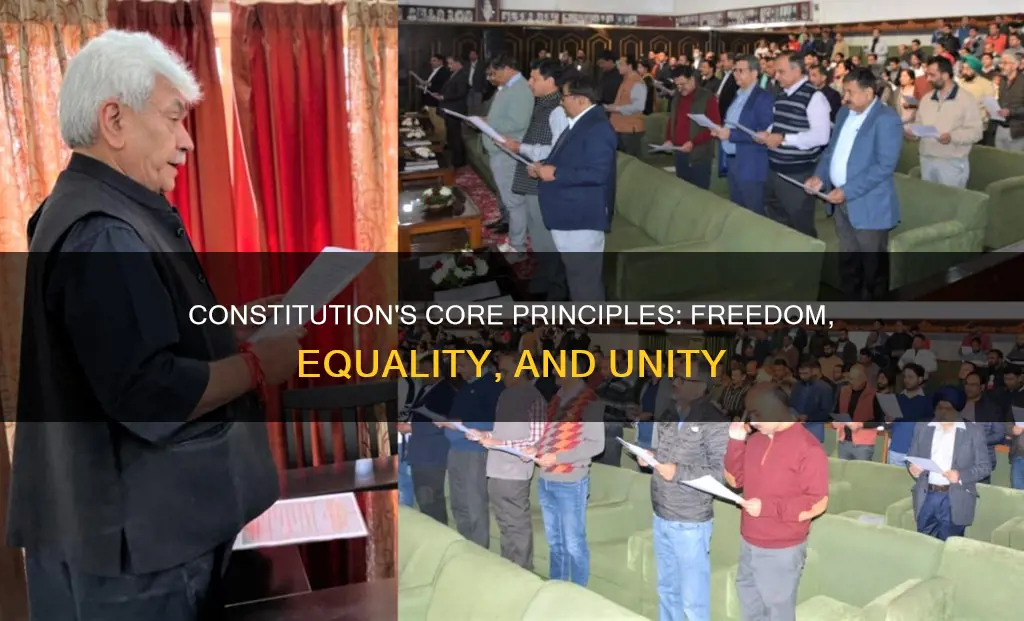 what were the guiding principles of the constitution