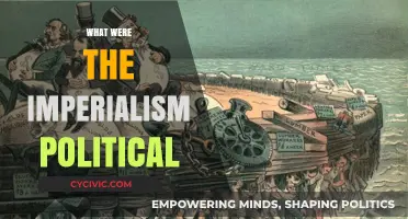 Understanding Imperialism: Political Motivations and Global Power Dynamics Explored