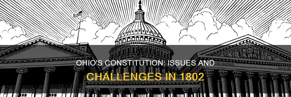 what were the issues with the ohio constitutional in 1802