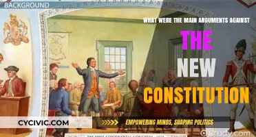 Key Objections to the Constitution