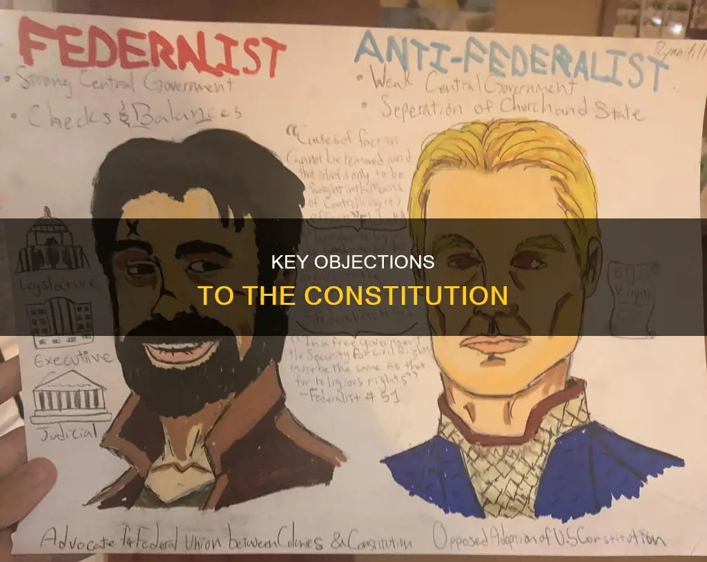 what were the main arguments against the new constitution