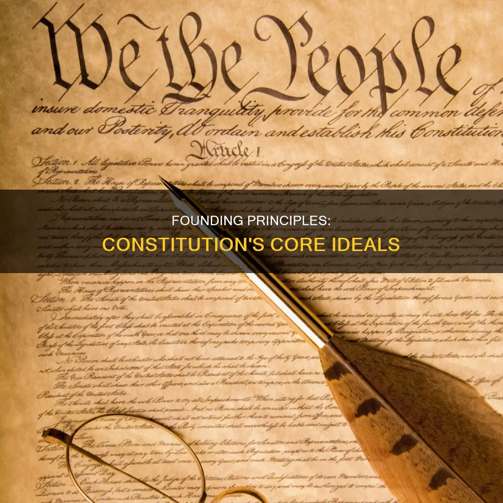 what were the main ideas of the constitution