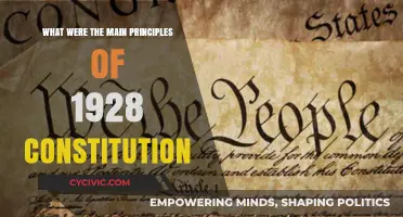 The 1928 Constitution: Principles of [Country]